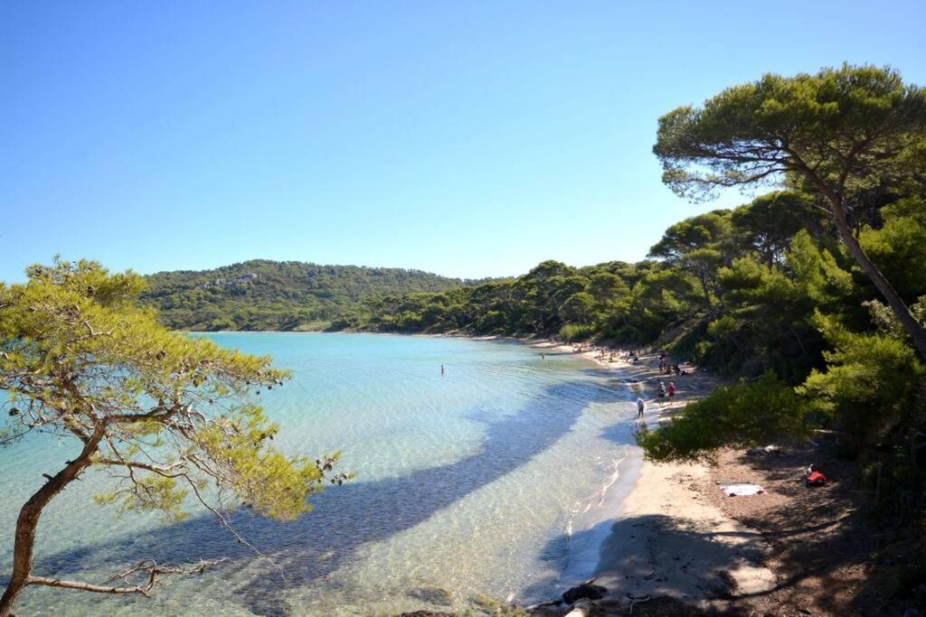 Studio Hyeres Port Et Iles D'Or. Экстерьер фото