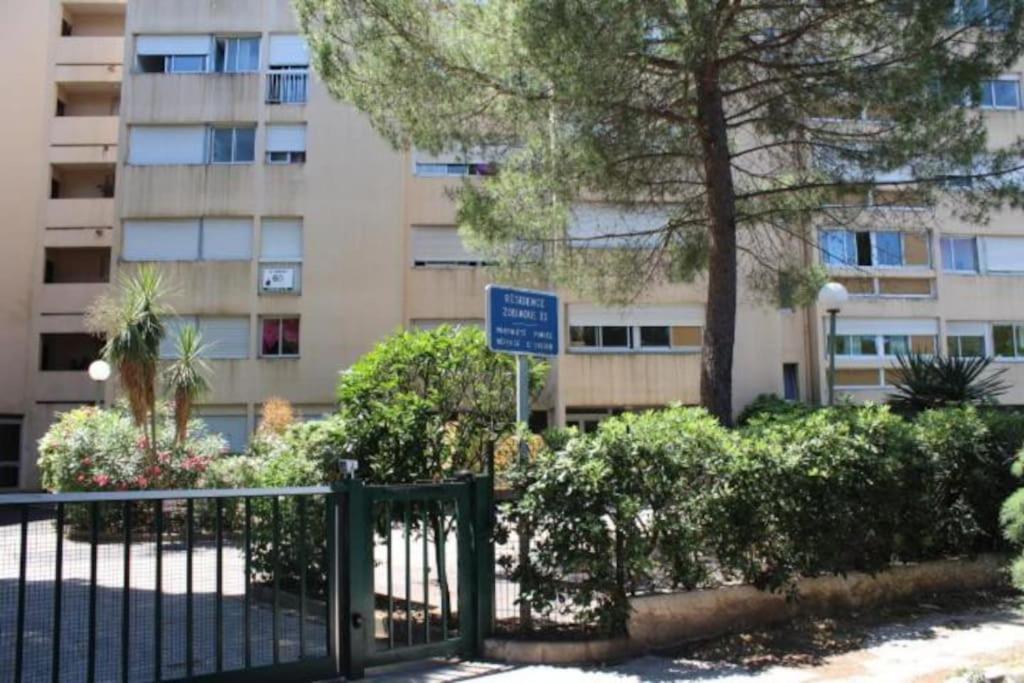 Studio Hyeres Port Et Iles D'Or. Экстерьер фото
